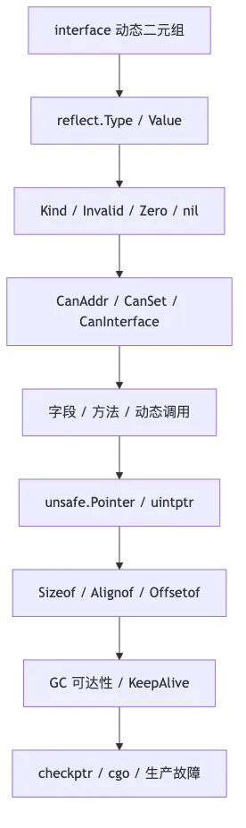 第 10 章：Reflection、unsafe 与 Go 内存布局 flow 1