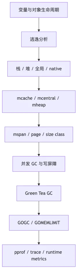 第 6 章：Go 内存管理、逃逸分析与垃圾回收 flow 1